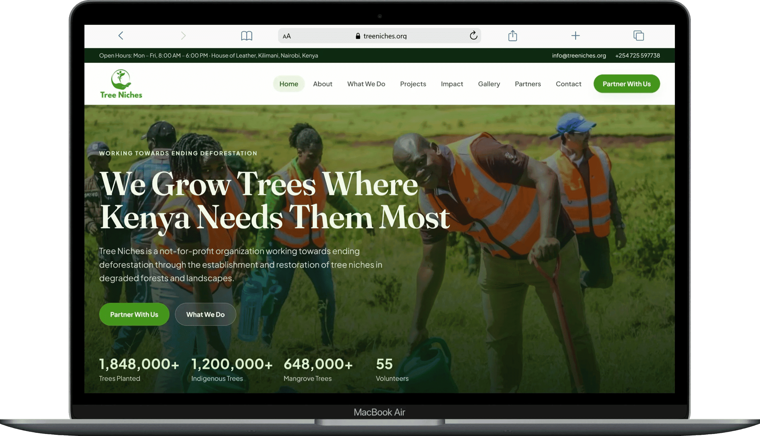Tree Niches | Organization Website